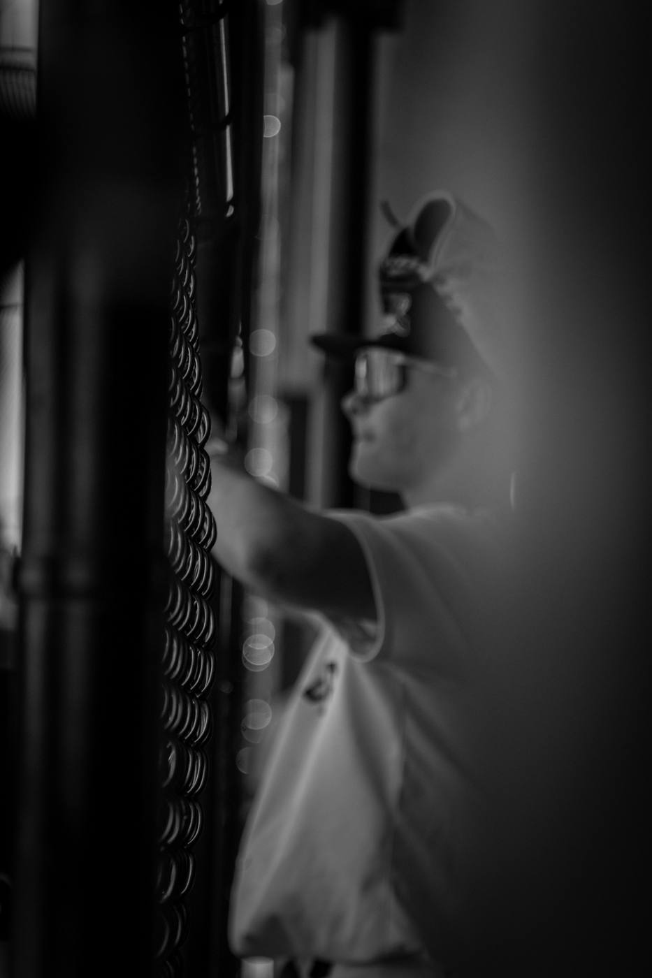 Through the fence